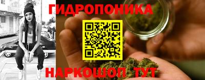 PSILOCYBIN Усть-Джегута